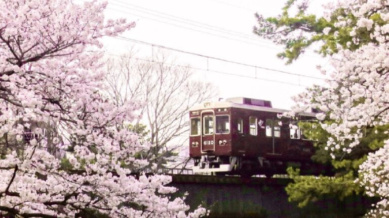 阪急電車と桜