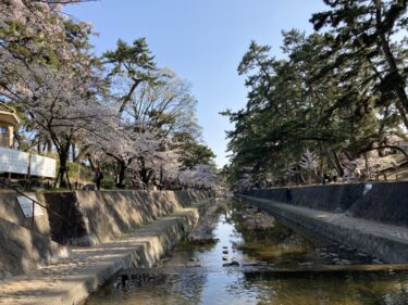 夙川と苦楽園、住むならどっち？それぞれの街の特徴