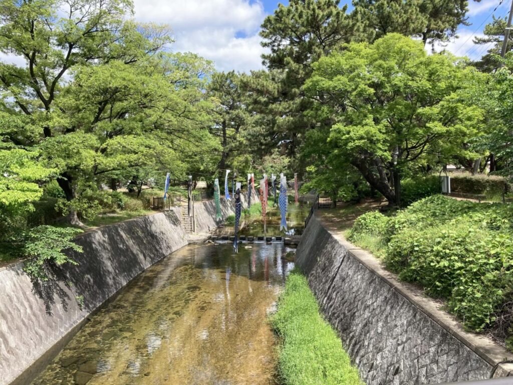 香櫨園駅前のこいのぼり