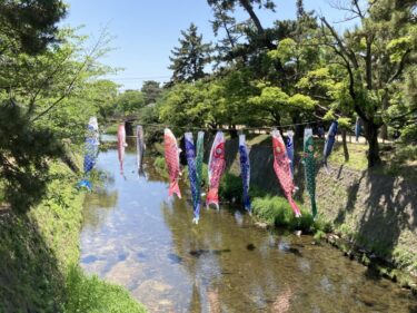 西宮市・夙川のこいのぼり｜撮影スポット