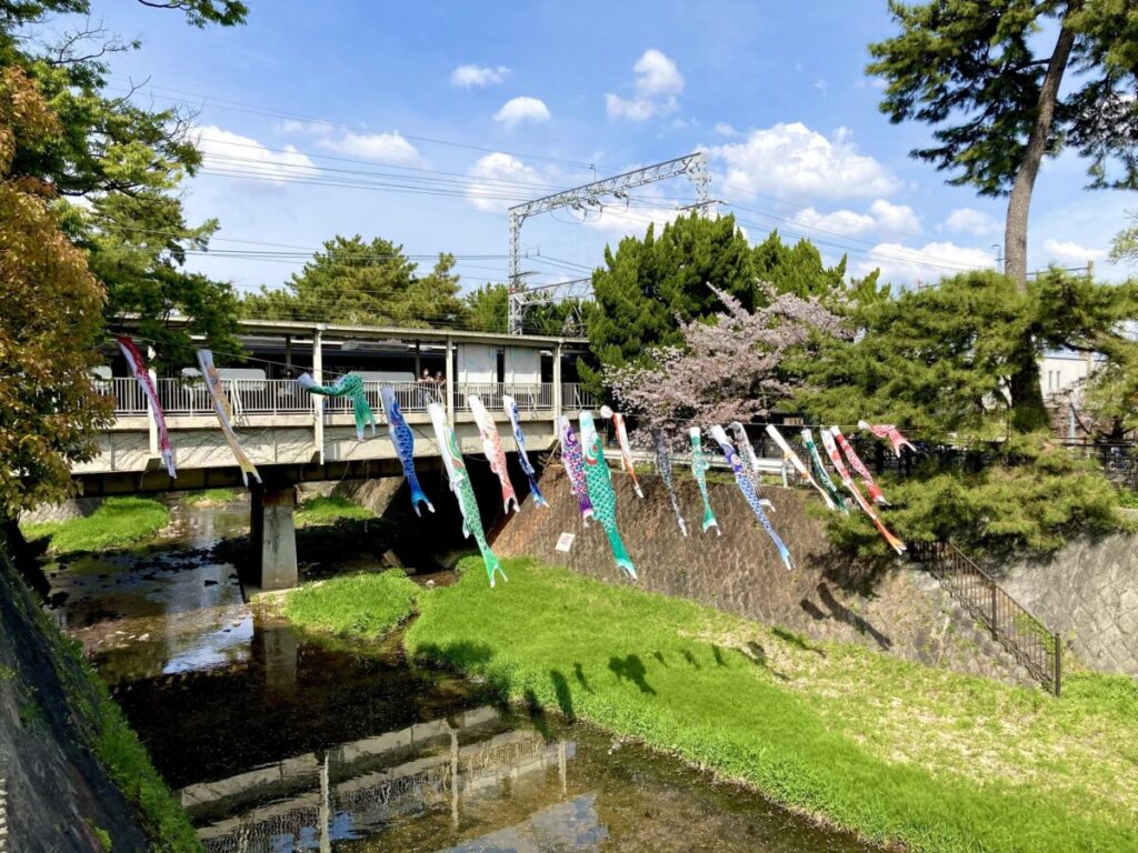 阪急夙川駅前のこいのぼり